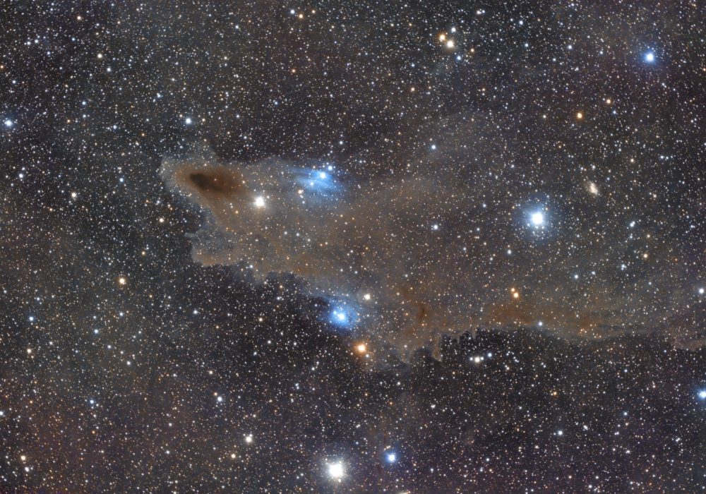 LDN1235 – Darkshark nebula