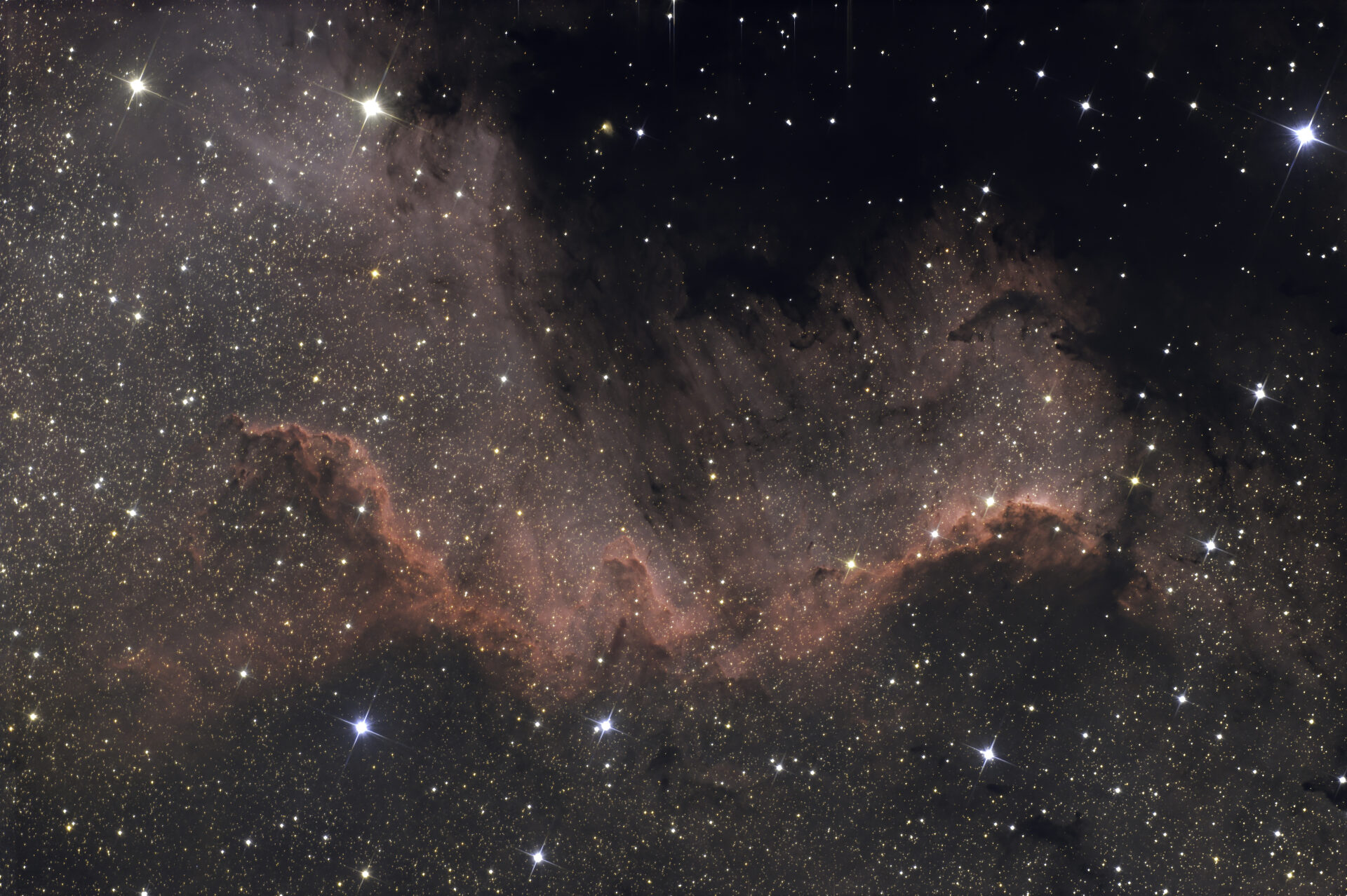 Cygnus Wall, dio North America maglice NGC7000