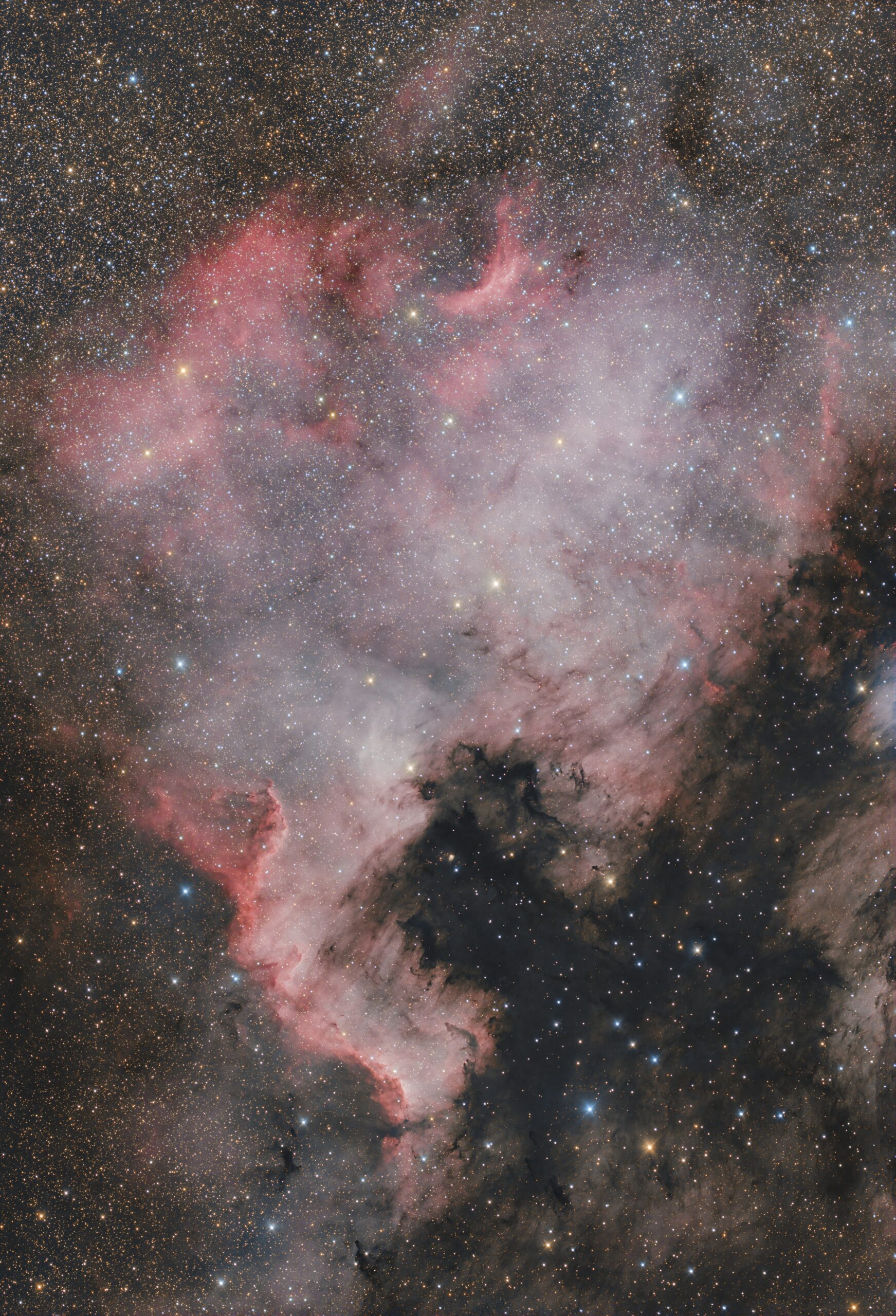 NGC 7000