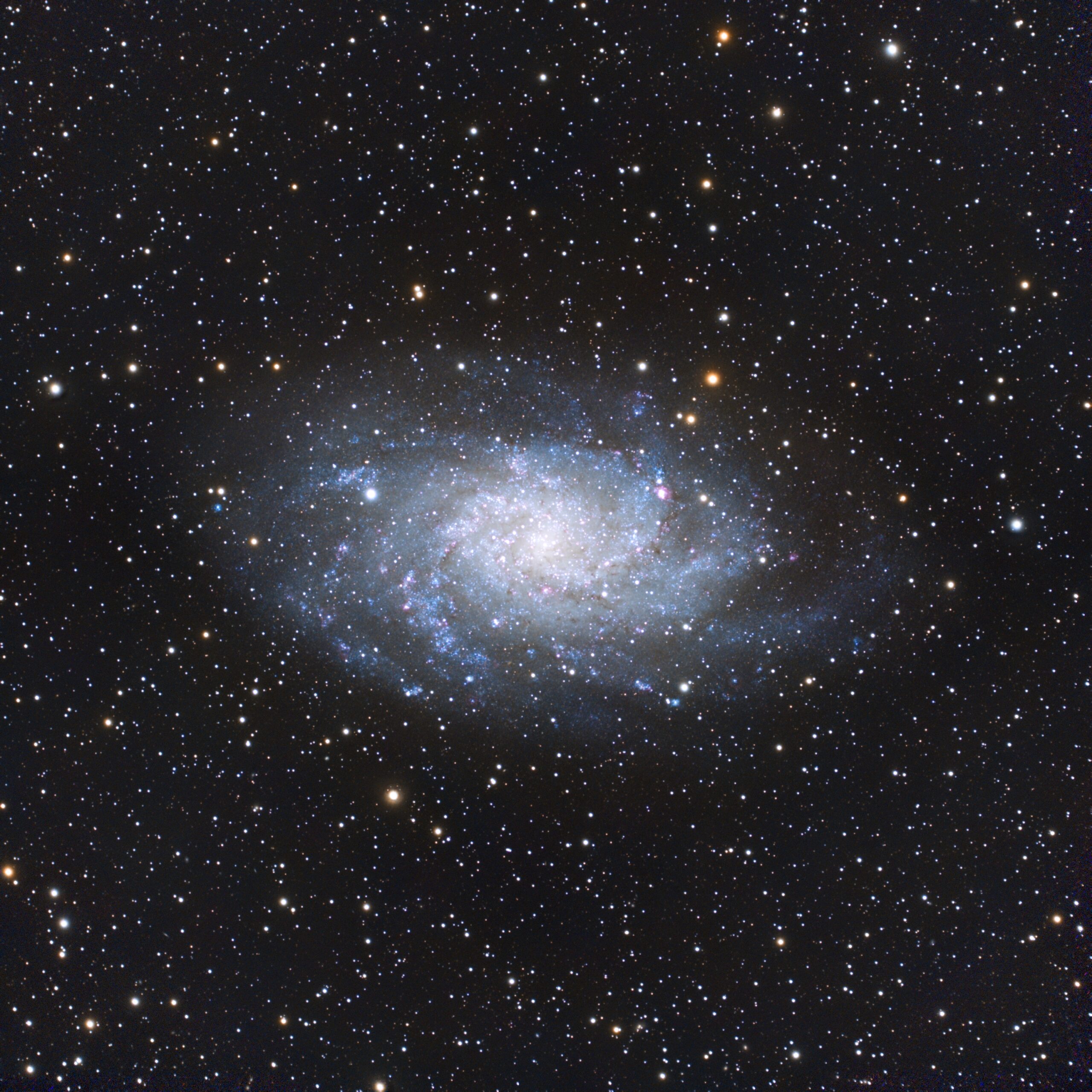 M33