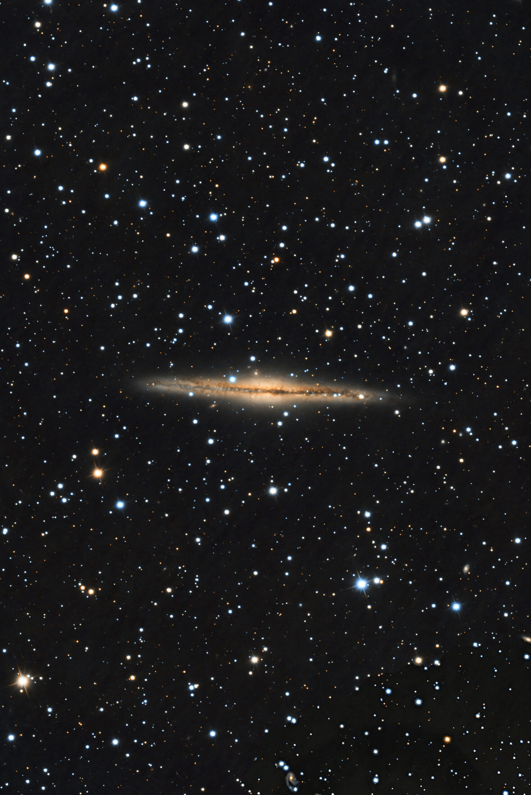 NGC891