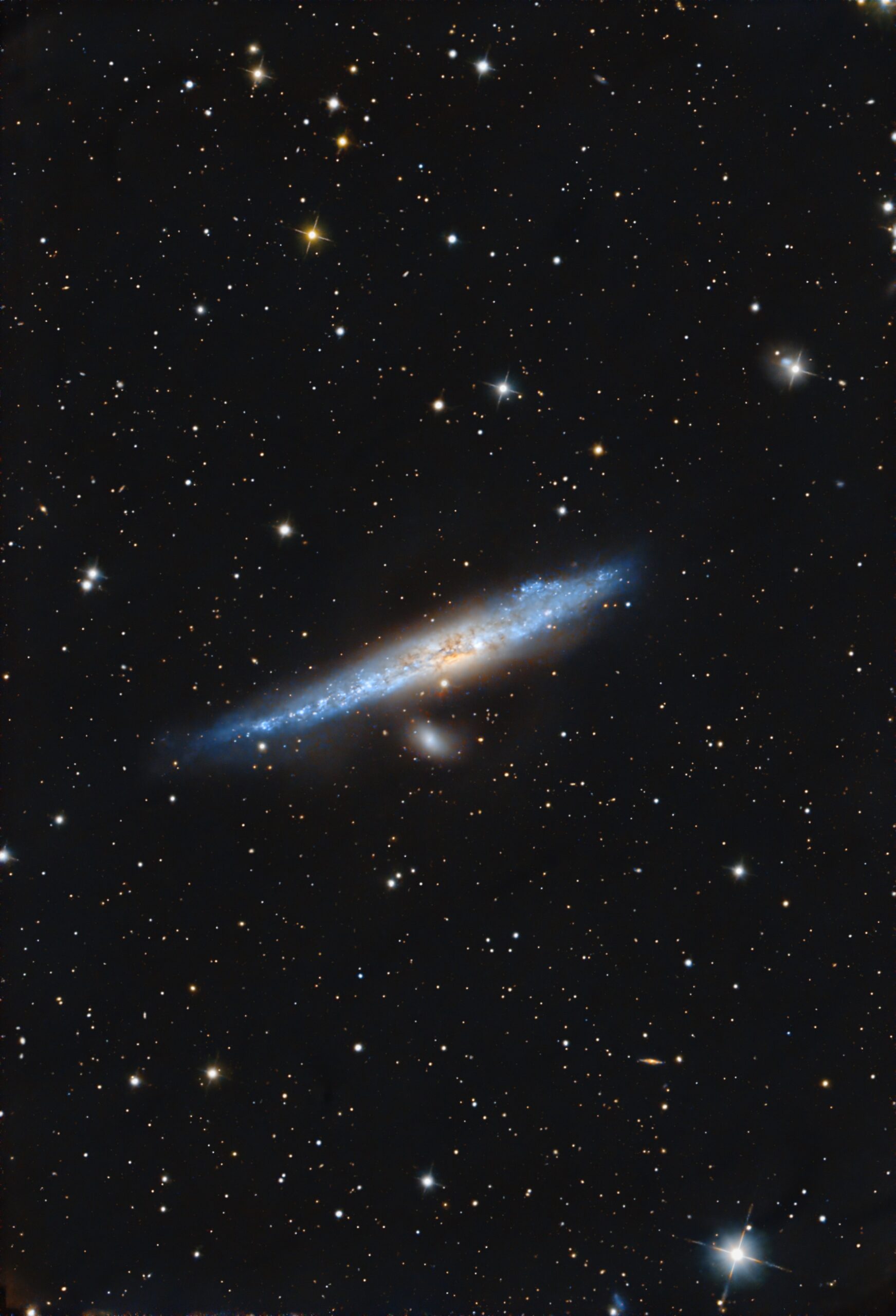 NGC4631 Whale Galaxy